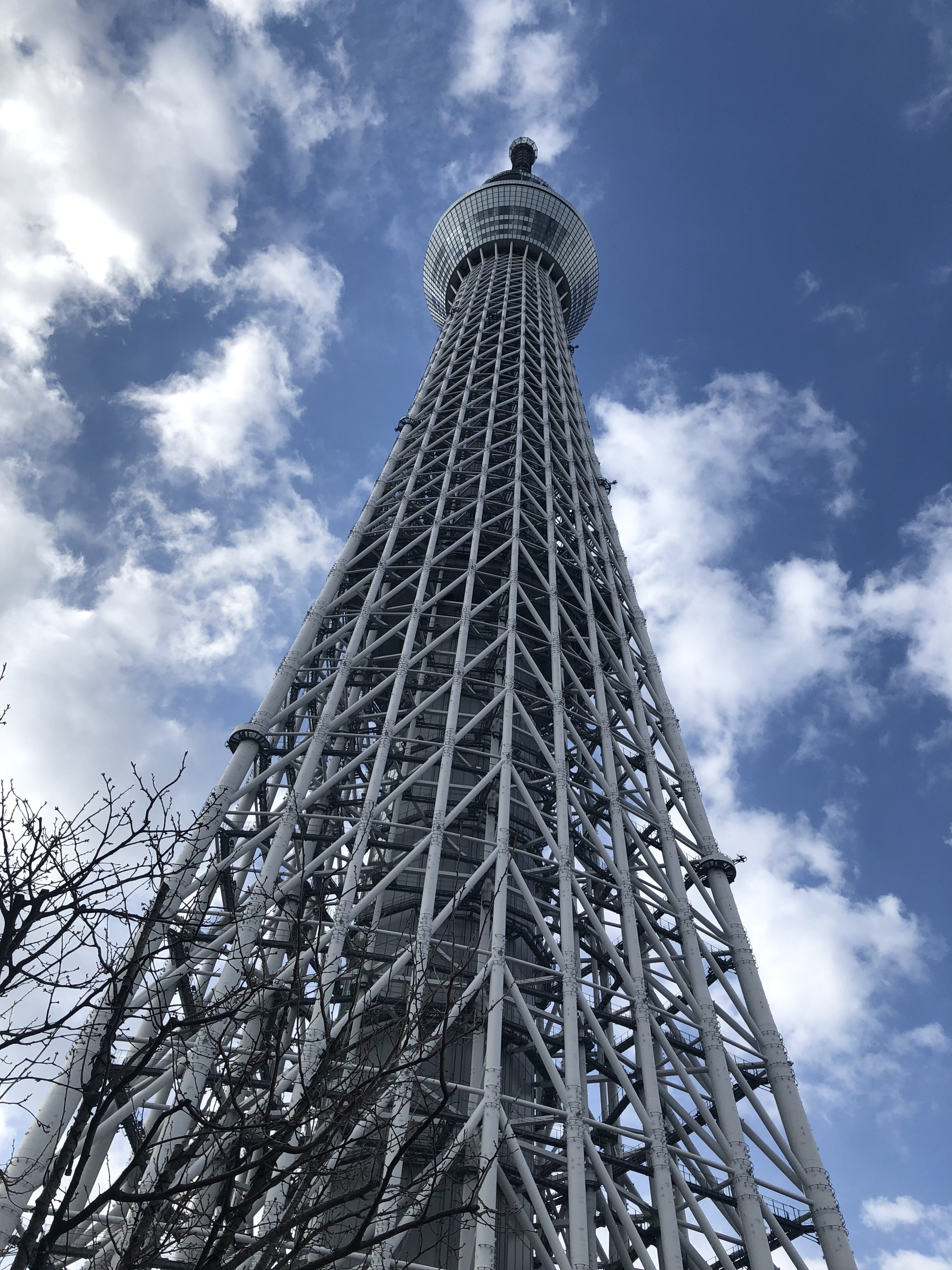 年長 松組 東京スカイツリーの絵を描きました お知らせ 健伸幼稚園